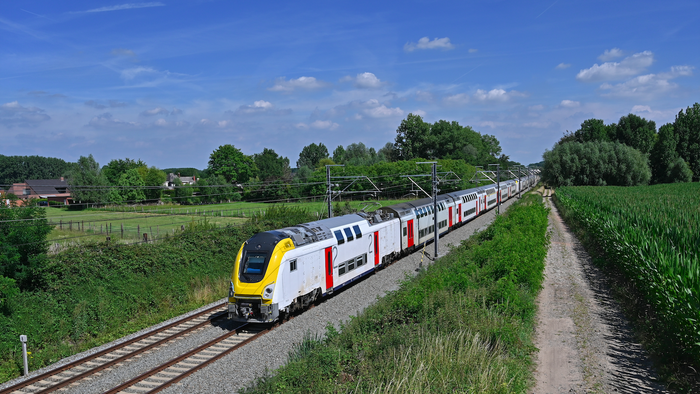 A train in Belgium travel through the countryside