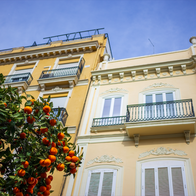 Apartment buildings in Valencia, Spain with an Orange tree