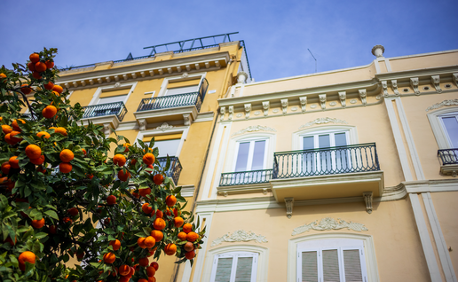 Apartment buildings in Valencia, Spain with an Orange tree