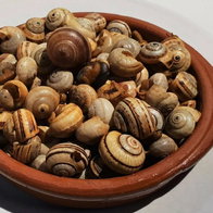 Snails cooked in broth