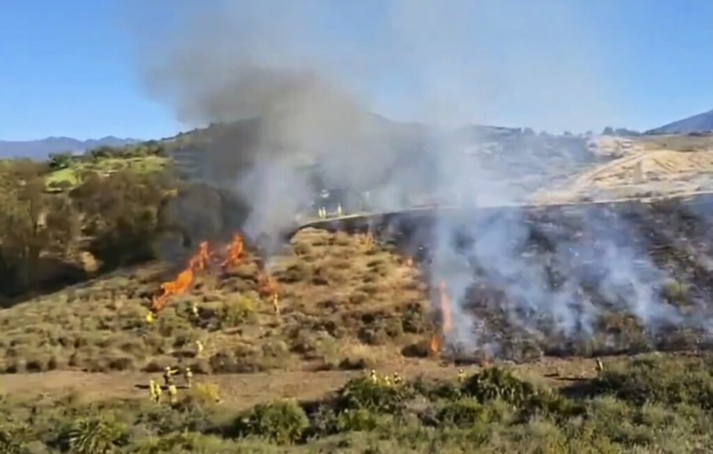Mijas calls for landowners to clear plots now and cut wildfire risks for Summer