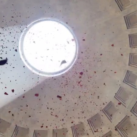 Millions of rose petals fall from Pantheon roof.