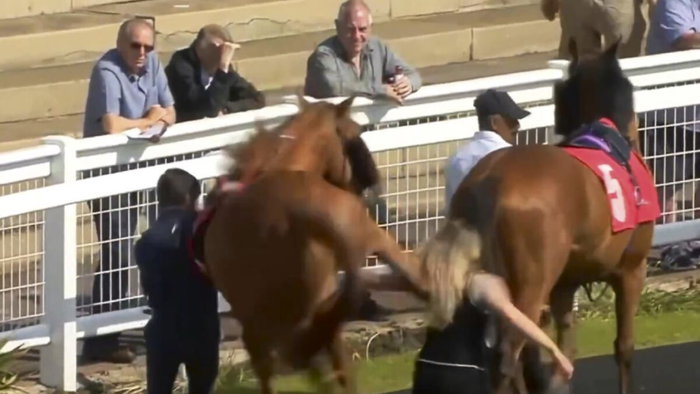 Violent and shocking side kick at stable hand.