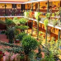Possible to visit Malaga's Corralones communities.