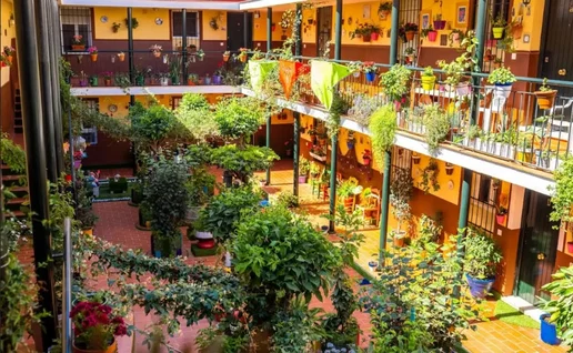 Possible to visit Malaga's Corralones communities.