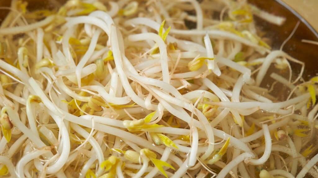 Salmonella alert again on another ready-to-eat product recall in Spain