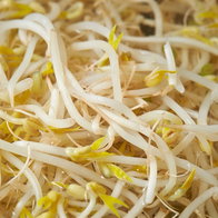 Beansprouts recalled after salmonella trace found