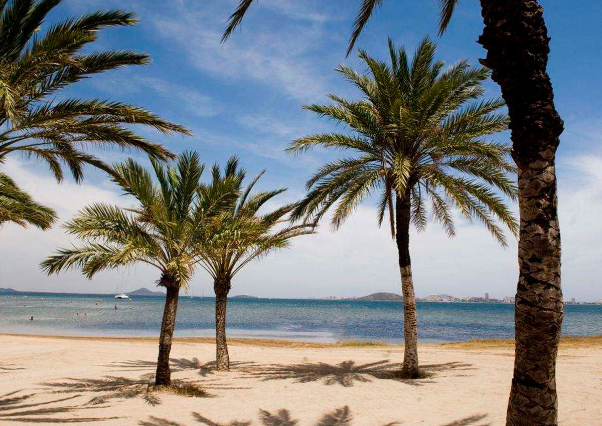 Murcia receives record 41 Blue Flag awards in 2026