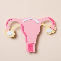 Women's health and women's healthcare concept with uterus.