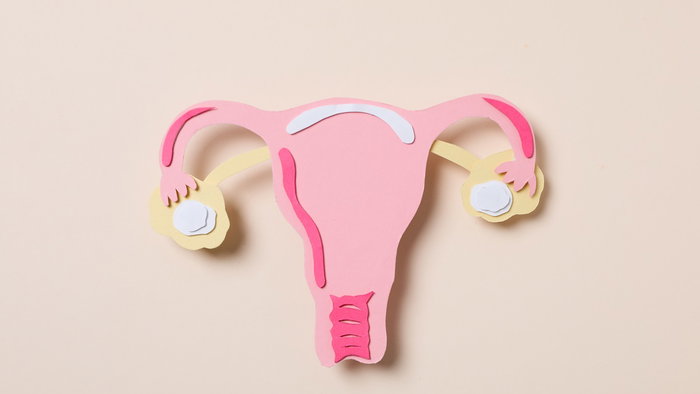 Women's health and women's healthcare concept with uterus.
