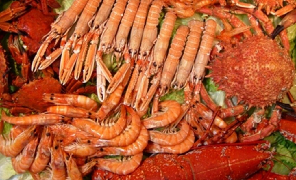 Seafood fair in Benalmadena with dishes from just €7