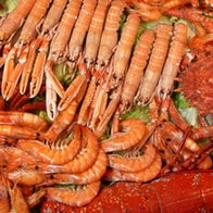 Benalmadena fresh seafood fair