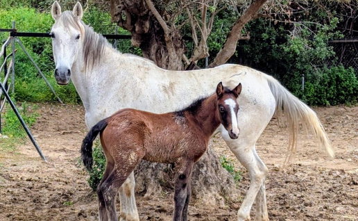 Mum & baby at A.R.C.H