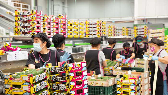 Women working in a factory