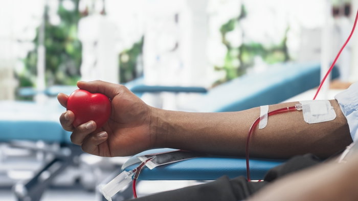 Close Up Shot Of Hand Of Male Blood Donor With an Attached Catheter. Black Man Holding Heart-Shaped Red Ball To Pump Blood Through The Tubing Into Bag. Donation For Organ Transplant Patients.