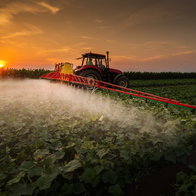 A tractor spraying the produce with pesticides at sunrise