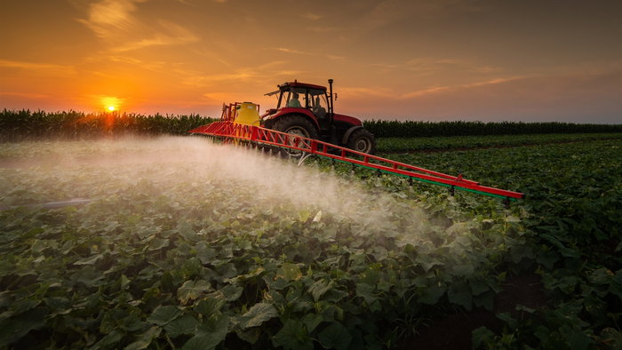 A tractor spraying the produce with pesticides at sunrise