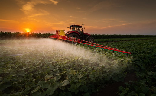 A tractor spraying the produce with pesticides at sunrise