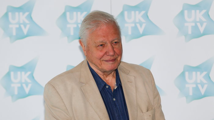 Sir David Attenborough, 100 years old.