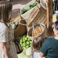 People browsing at Volubilis garden market