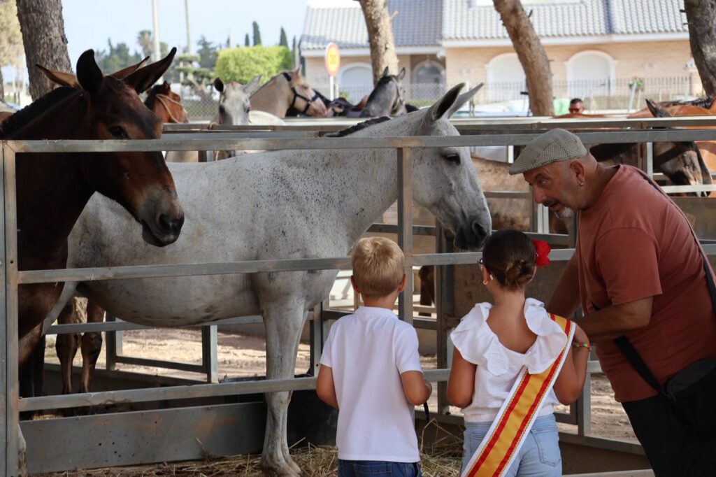 San Pedro del Pinatar celebrates history and equestrian passion at one of Spain’s oldest livestock fairs