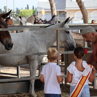 The Fair.