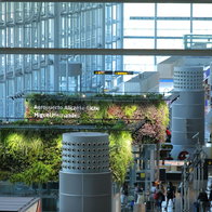 Record airport numbers and travel discounts boost Costa Blanca summer season.