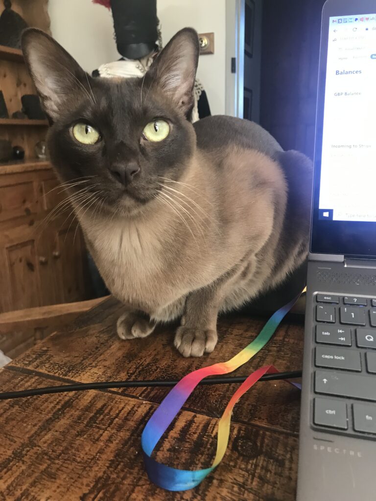 We need pet-sitters to join our network
