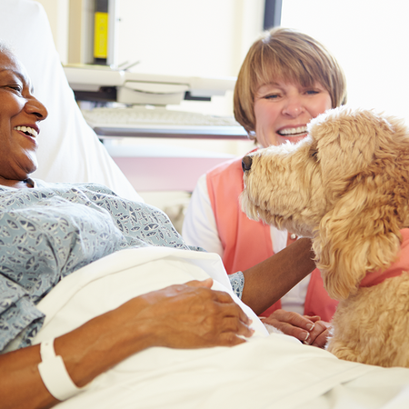 Patient pets their dog while in a hospital bed.