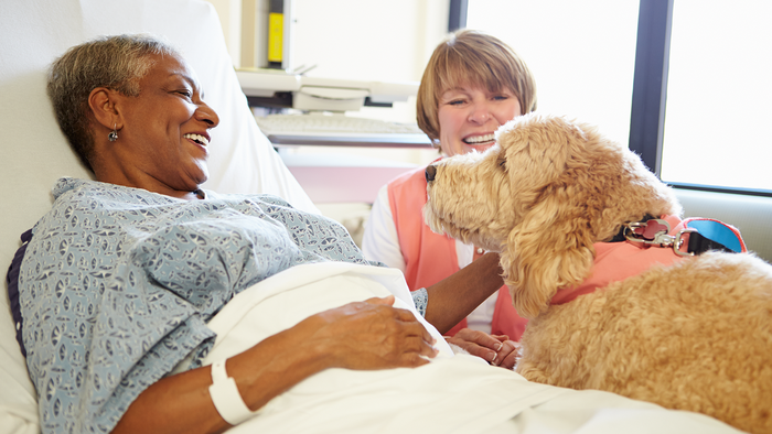 Patient pets their dog while in a hospital bed.