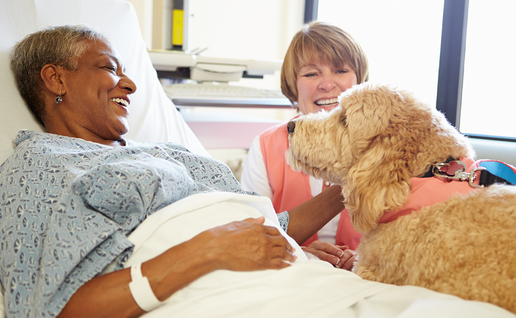 Patient pets their dog while in a hospital bed.