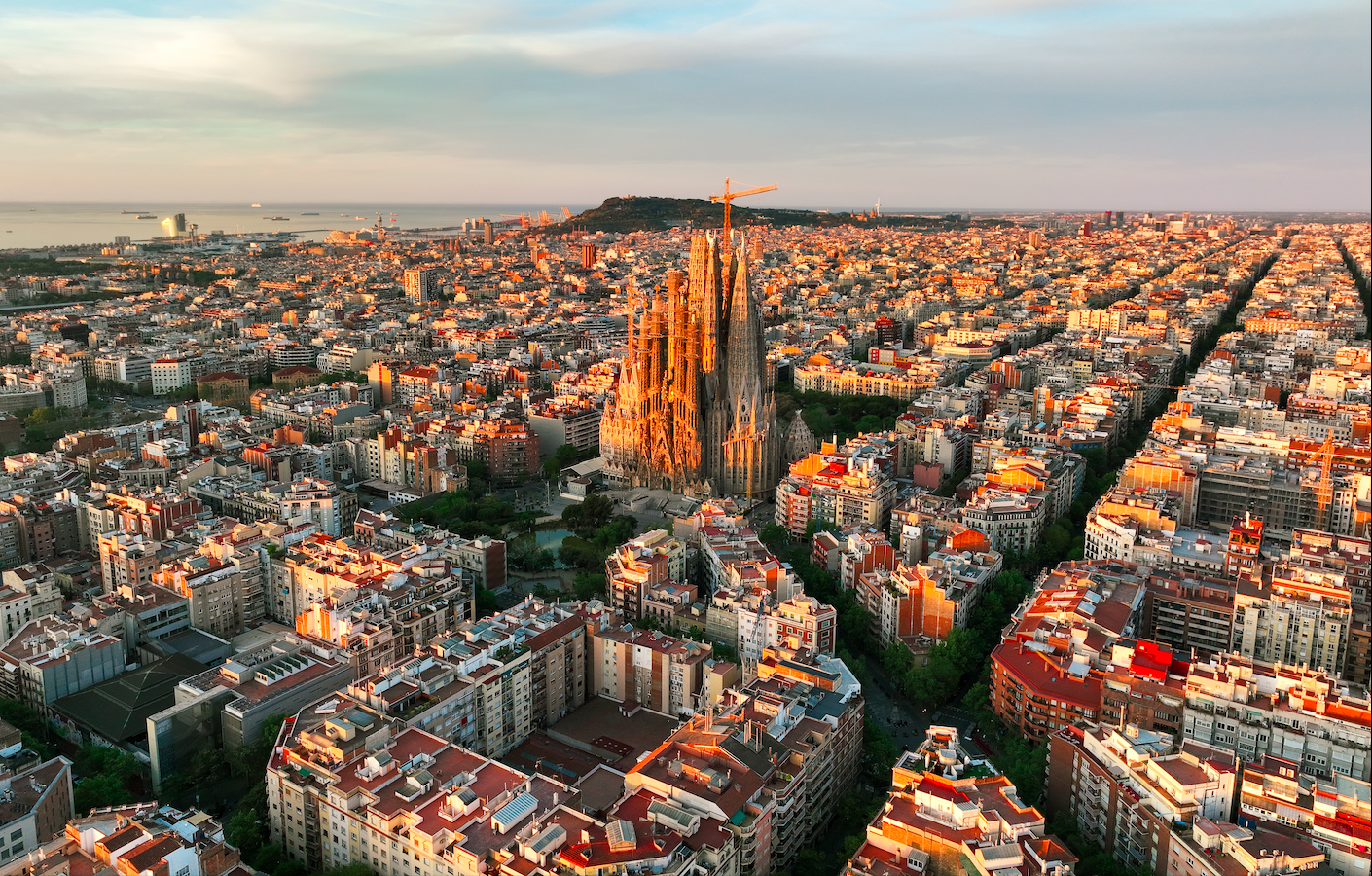 Barcelona tests olive pit asphalt that could transform how cities build roads