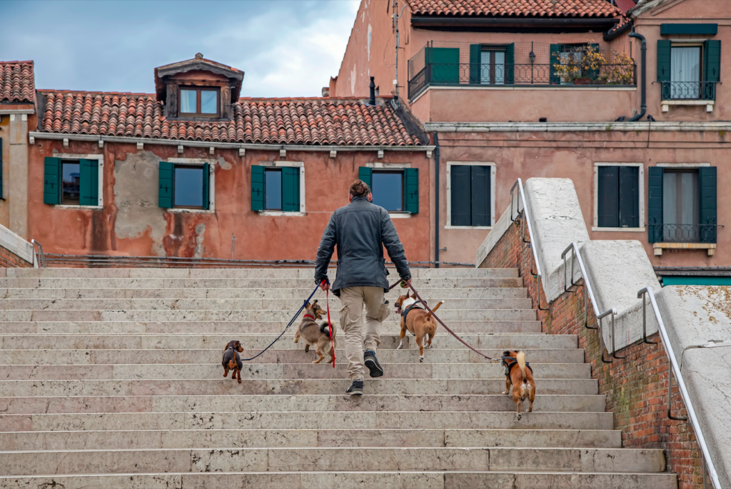 Your labrador wont pay your pension: Italian pet proposal sparks debate A mayor in northern Italy has sparked national debate after suggesting that dog owners could be asked to contribute around […]