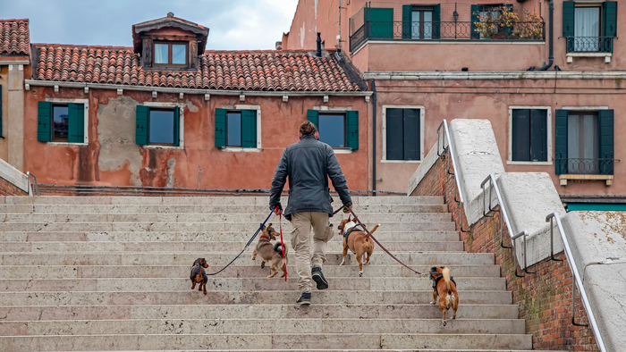 A man climbing some stairs with several dogs on leashes