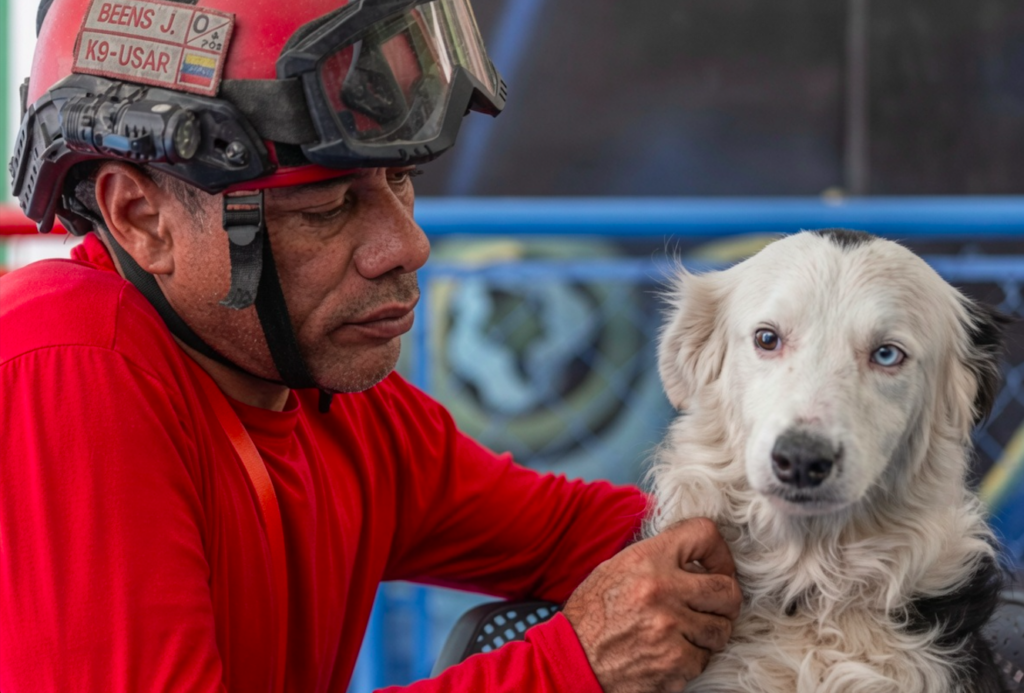 A dog left to die now finds survivors no human can reach