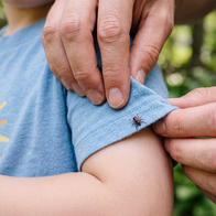 Father removes tick from childs shirt.