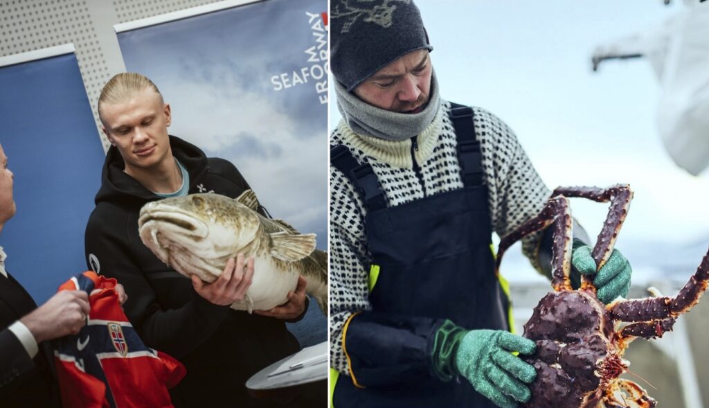 Norwegian World Cup football chefs’ thoughts on seafood and nutrition