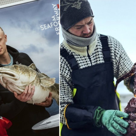 Erling Haarland feasts on Norwegian seafood for the World Cup.