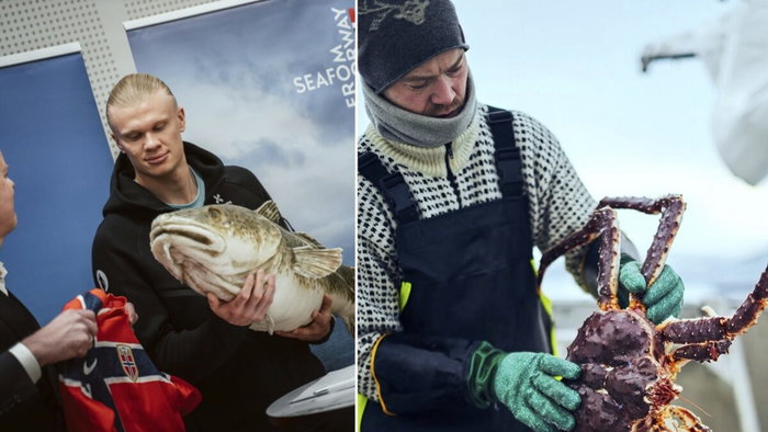 Erling Haarland feasts on Norwegian seafood for the World Cup.