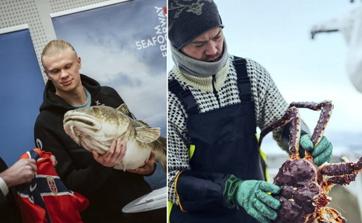 Erling Haarland feasts on Norwegian seafood for the World Cup.