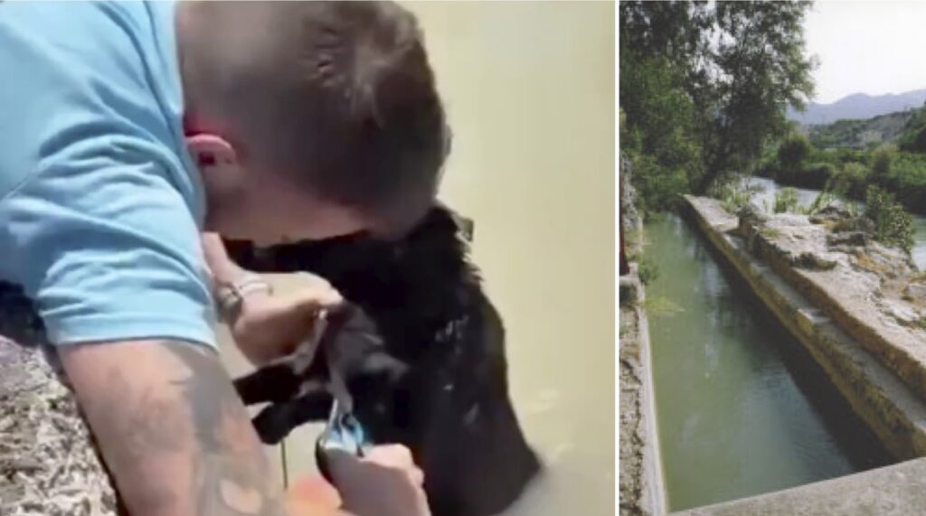 Off-duty Guardia Civil officers rescue dog tied to brick in Murcia ditch