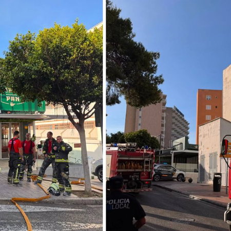 Swarming ants invade Spanish homes.