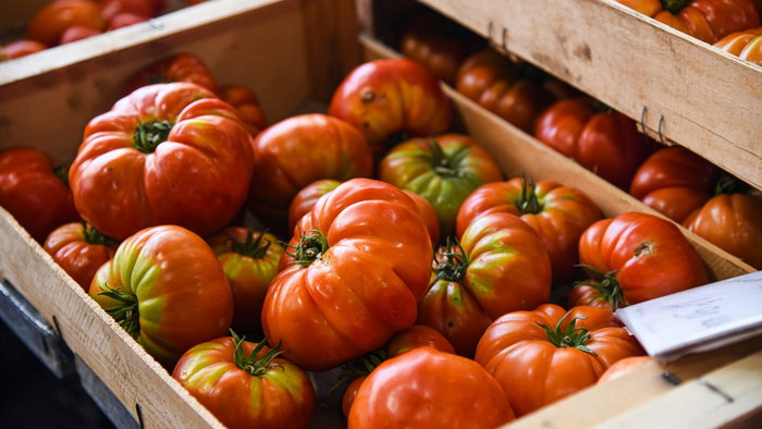 Tomatoes.