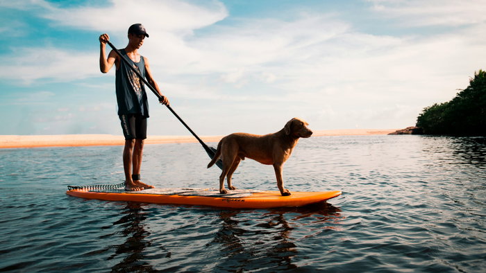 A man and a dog on a paddleboard.
