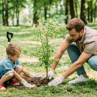 A father and son planting tree at park