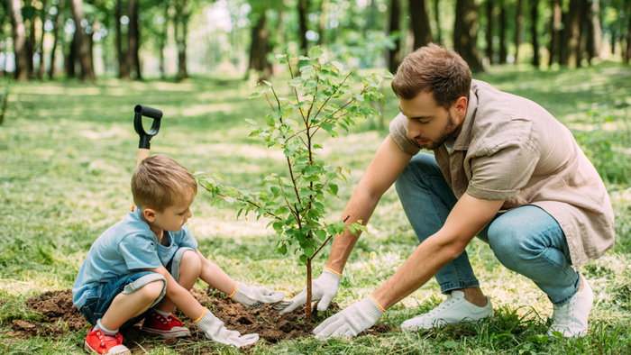 A father and son planting tree at park