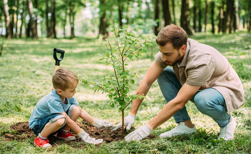 A father and son planting tree at park