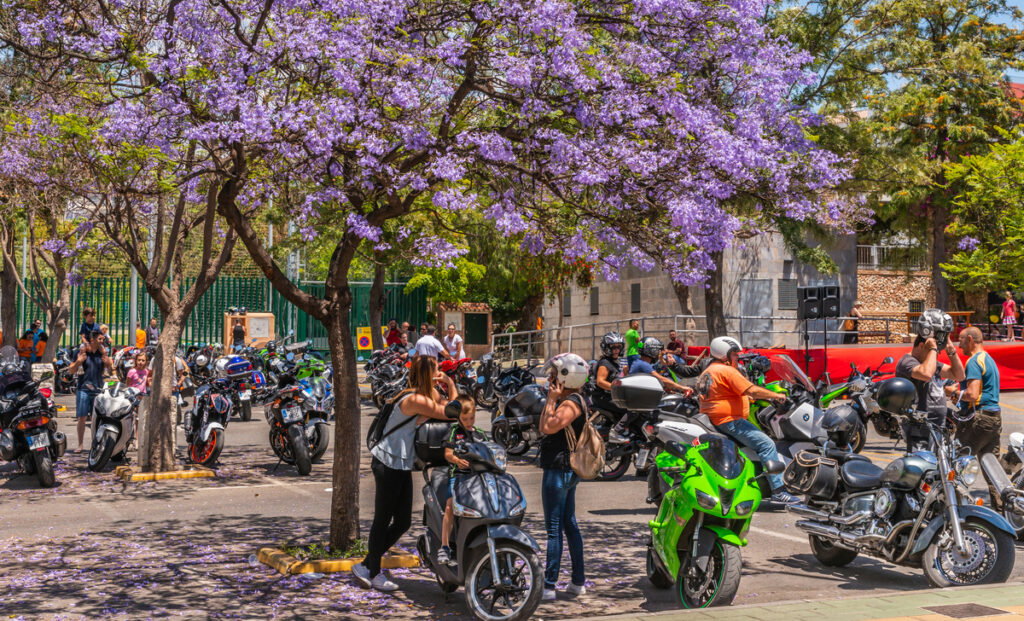 Ride a motorbike in Spain? These three everyday habits could soon set you back €200