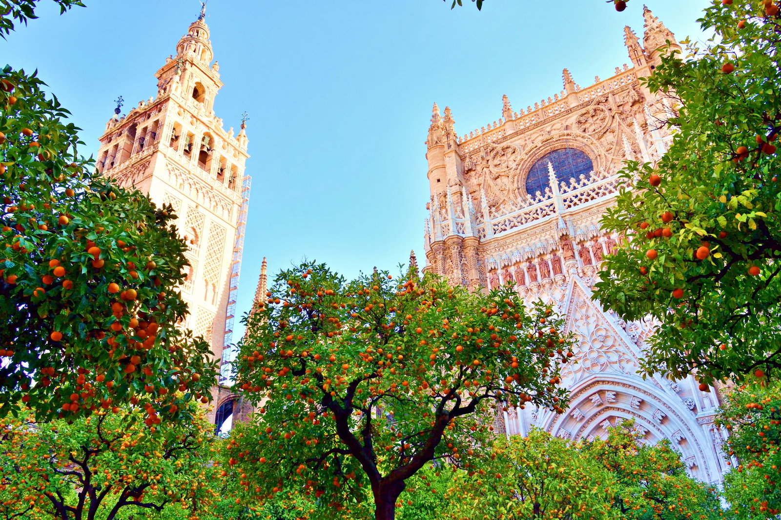 From Andalucía To Buckingham: The Surprising Orange Tradition Linking Sevilla To King Charles Iii