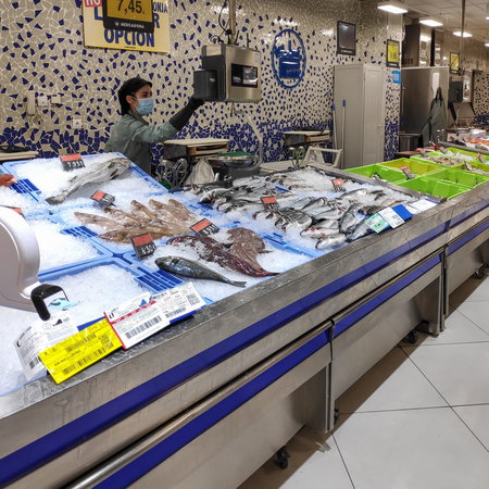 Fresh and frozen fish and shellfish shop at Mercadona supermarket